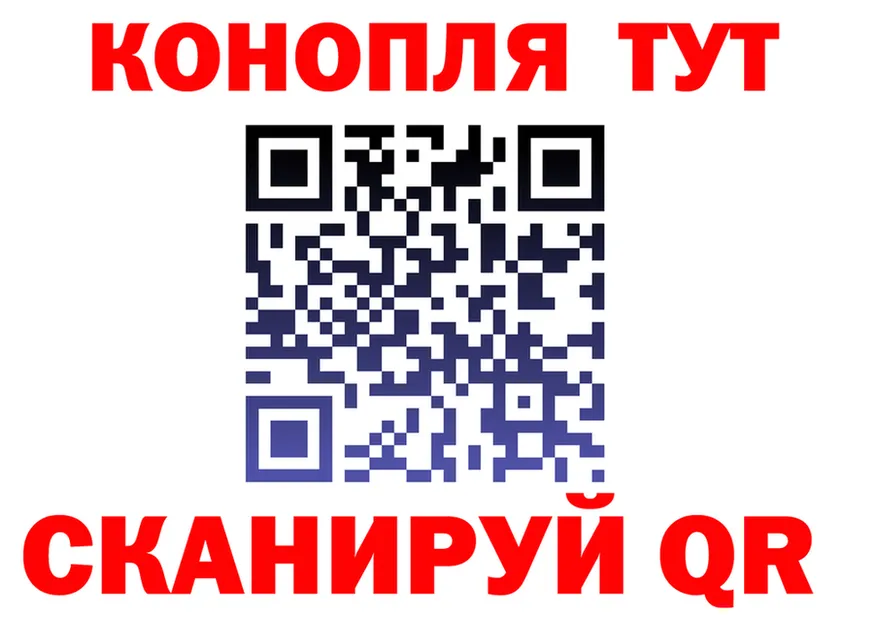 МЯУ-МЯУ 4 MMC вход площадка KRAKEN Зеленогорск
