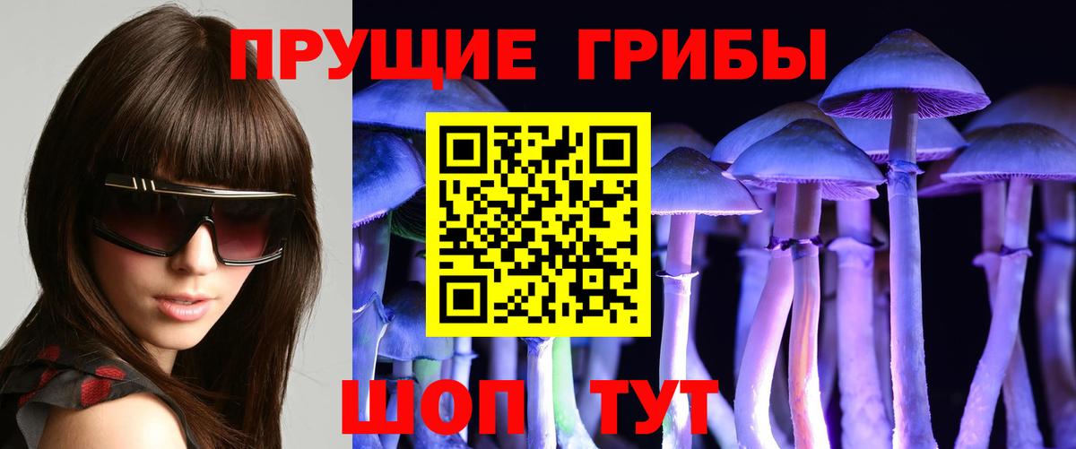 Псилоцибиновые грибы GOLDEN TEACHER Зеленогорск